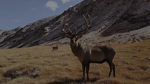 Power Beets: Unique Ingredients, Responsibly Sourced