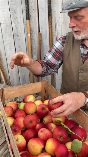 51K views · 566 reactions |  Storing Apples — Old-Fashioned Tricks...