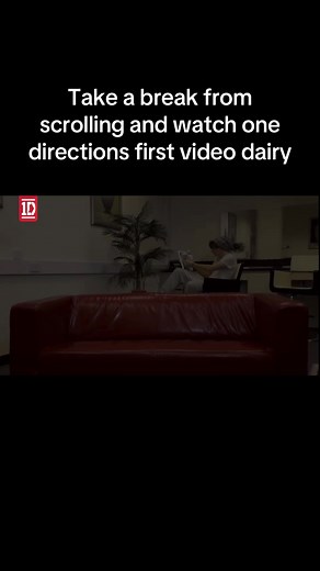 One Direction Diaries: Embarrassing Moments & Concert Rituals