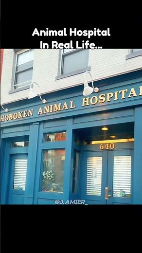 Players Found Animal Hospital Anomalies In Real Life New Update #roblox #animalhospital #update