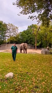 Schönes Wochenende Euch! Wir waren mit Volker unterwegs. 😘🎉😀 P.S. Volker ist auf Instagram unterwegs, sollen wir ausrichten. 😉😉😉 volker.friedrich.tierpfleger ☀️ | Leopard, Seebär & Co. - Geschichten aus dem Tierpark Hagenbeck