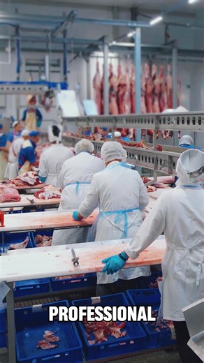 When it's time to process your beef, trust Midwestern Meat Locker for professional, custom beef processing that delivers great quality and peace of mind. Our experienced team treats every cut with care — from slaughter to packaging — so you get clean, consistent results every time. 🥩 Whether you're a rancher, farmer, or just want custom cuts for your freezer, we provide hassle-free processing, attention to detail, and a commitment to quality you can taste. Let us handle the hard work so you can