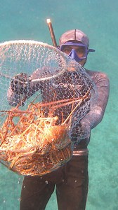 Last days of lobster season 🦞🤿👋🏾 #pescadores #lobster #langosta #fishing #ocean #sealife #lobsterfishing #mexico #spearfishingworld #pesca #pescasubmarina #underwaterlife #reelsviral #gopro #vigiachico #lobstertail | Eliam Fishing Mx