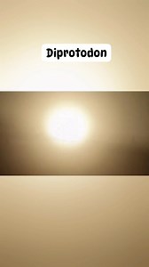 Diprotodon is the largest-known marsupial to have ever lived; it greatly exceeds the size of its closest living relatives wombats and koalas. | Ron Aldo