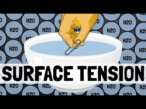 What Is Surface Tension?