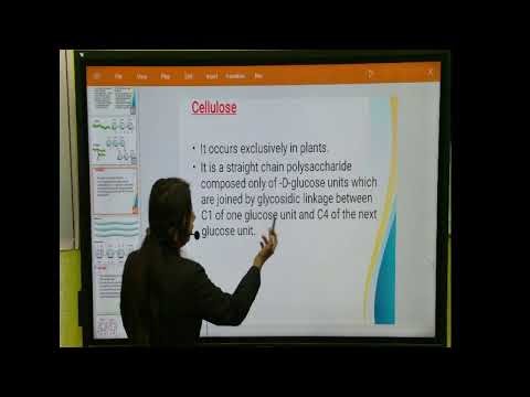 Class :12 | Subject: Chemistry| Topic: Biomolecules 