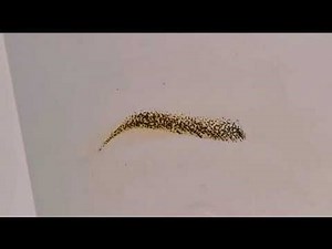 Permanent make up/ Powderbrows technique