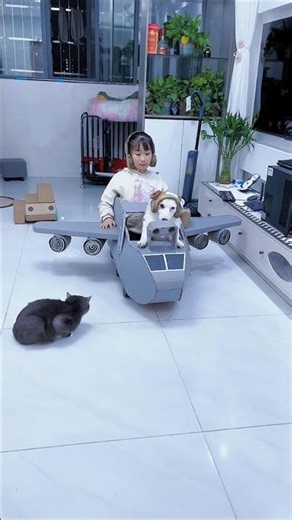 Cat Boarding Plane 😱🐱✈️ ~ Building Wooden Log Cabin in Forest | Survival House Step by Step 213