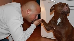 7 Unlikely Animal Friendships That’ll Warm Your Heart