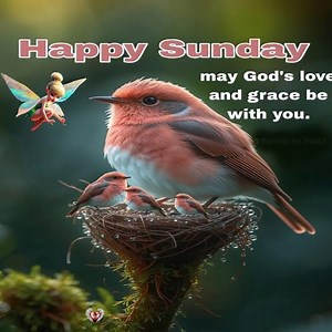 HAPPY SUNDAY Everyone. May God's love and grace be with you.!❤ | Thanks to You