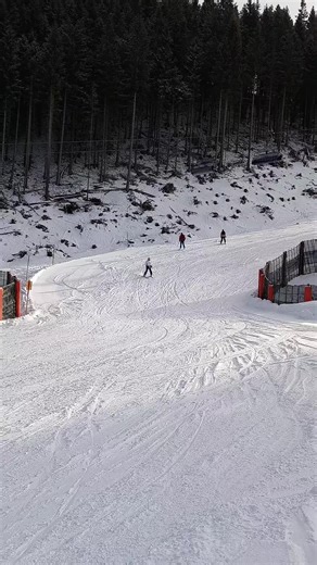 Improving Ski Skills in Austria's Winter Wonderland