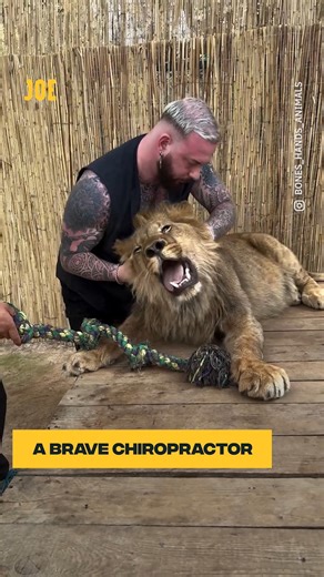 63K views · 183 reactions | I wouldn't dare  | JOE.co.uk | Facebook