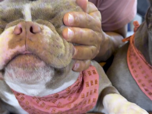 【bluewhiggg】新作上线，快来看看！