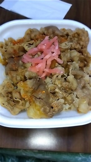 今日のお昼ごはん すき家の牛丼並#すき家#牛丼#テイクアウト