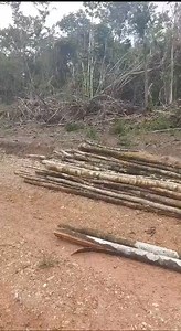 20K views · 246 reactions | Evidence that I am not lying, what is...