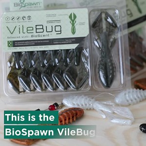 Karl's Bait & Tackle has the best new fishing brands at the best prices! ✓ Up to 30% off free shipping ✓ Free 60-day returns ✓ Exclusive fishing products ➡️ www.shopkarls.com | Karl's Fishing & Outdoors