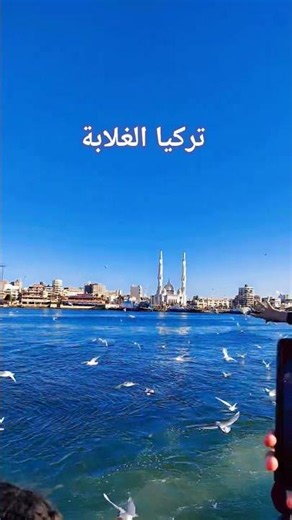 تركيا الغلابة #sinderellavera