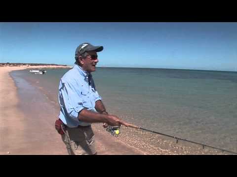 Halco Roosta Popper Master Class