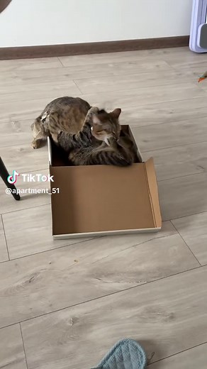 Это было жестко