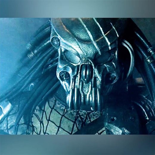 The Predator lost to the Xenomorph due to his carelessness.#edit #viral #shorts #avp