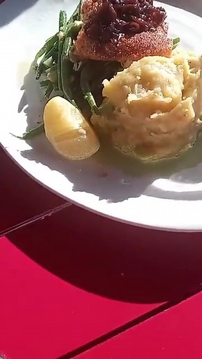 Stephanie Walsh on Reels