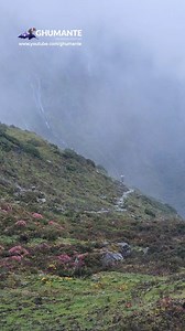 Paari paanchthar, wari Taplejung, video ma kasailai dekhnubhayo? Sampurna sramjivi haat harulai Majdoor Diwas ko subhakamana! Happy May Day! #mayday #majdoordiwas #timbupokhari #timbungpokhari #taplejung #eastnepal #travel #explore #ghumante | Ghumante