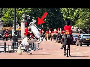 King's Horse Suddenly Reared Up... The Officers Horsemanship Professionalism Stunned the Crowd