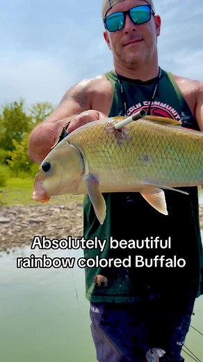 Bowfishing beautiful Buffalo 🦬 in the backwaters of Illinois. #bowfishing #fishing #fish #foryoupagereels | Scotty Battin