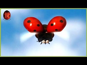 The Zzzzzz Patrol 🐞 Minuscule 🍃 85' Compilation