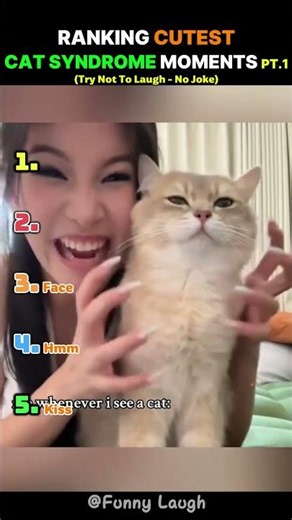 Ranking Cutest Cat Syndrome Moments Pt.1