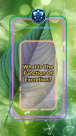 What is the Function of Excretion? 🚰 | Biology Basics #shorts