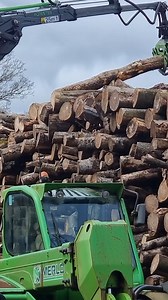Sorting out some logs with the Botex #botex #forestmachine #firewood #timber #logs | Forestry Journal