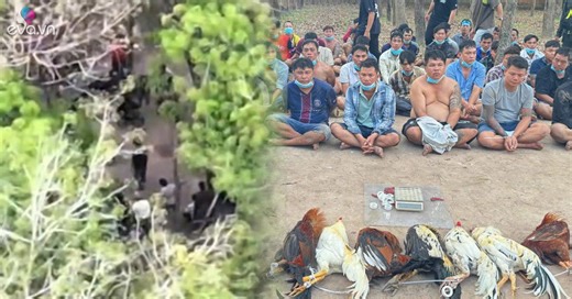 Dùng flycam theo dõi trường gà ở TP HCM, cảnh sát đột kích bắt hàng chục người