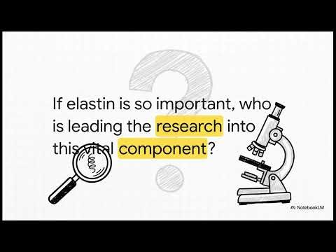 K-Beauty’s New Frontier: How Elastic Lab is Redefining Skin Firmness