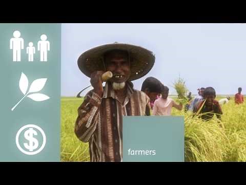 Control Union overview