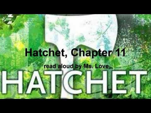 Hatchet, by Gary Paulsen, Chapter 11