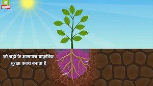 103K views · 879 reactions | हर साल किसान मेहनत तो भरपूर करते हैं, पर...