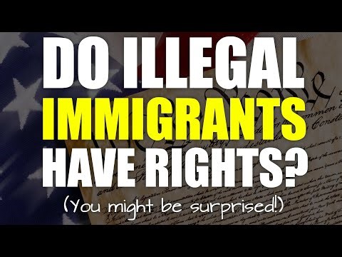 Do Illegal Immigrants Have Rights? | Constitutional Law Every American Should Know