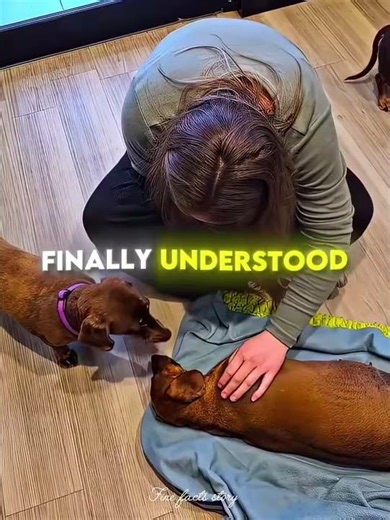 This Puppy Said GOODBYE One Last Time🐕😥#shorts #animals #viral