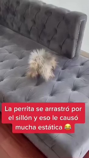 🤣🤣🤣 | Olga Tañón oficial