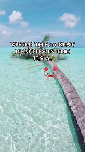 Explore the Top 10 Best Beaches in the USA