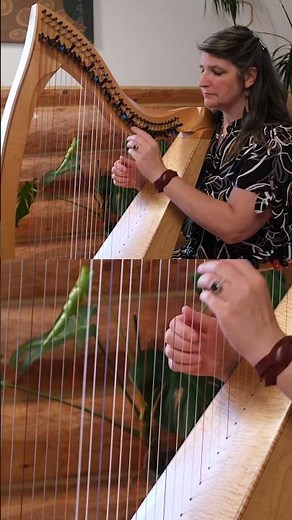 Hildegard von Bingen for Harp - Caritas Abundat #harpist #medievalmusic #meditationmusic #fantasy
