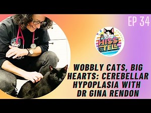 Wobbly Cats, Big Hearts: Cerebellar Hypoplasia with Dr Gina Rendon