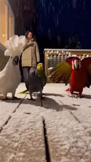 @tourist.channel on Instagram: "Groove Machine"