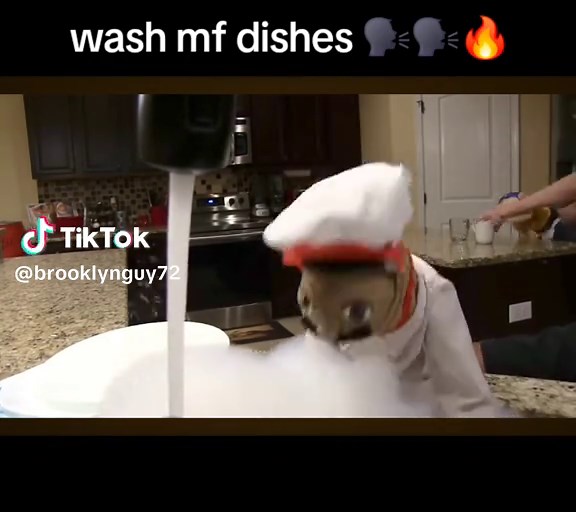 #funny #sml #fyp #foryou #chefppsml | wash the dishes