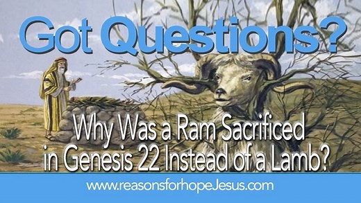 Why Was a Ram Sacrificed in Genesis 22 Instead of a Lamb?