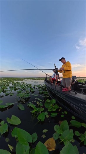 Sunrise Hooksets #fishing #shellcracker #shellcrackerfishing #bassfishing #freshwaterfishing