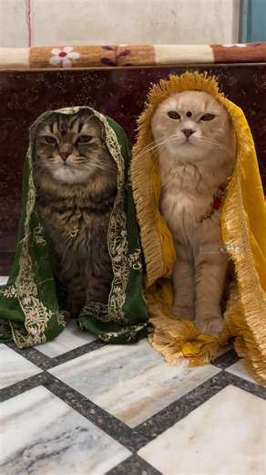 ‎اذسی💁‍♀️‎ on Instagram: "Motu Aur Patlu Ki Jodi 🤣"