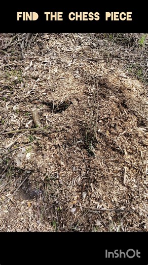 Find in the picture - EYE TEST - PERCEPTION AND ATTENTION TEST