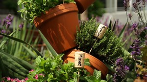Kräuterpyramide: Frische Kräuter in Tontöpfen